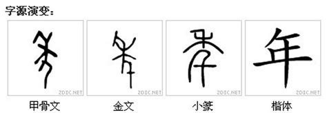 年的古字|年(漢語漢字):字源演變,詳細釋義,古籍解釋,說文解字,康。